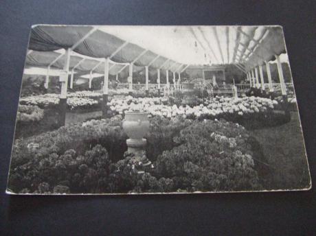 Boskoop Bloemententoonstelling Bezoek H.M. De koningin 1911